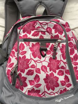 Backpack high sierra