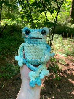 Froggy Friend