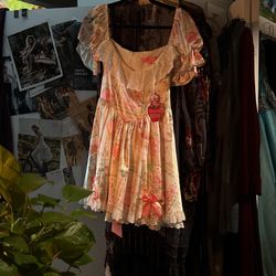 Strawberry shortcake Dolls Kill dress