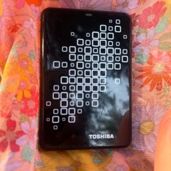 Toshiba Portable External Hard Drive