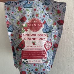 Scentsy Soak