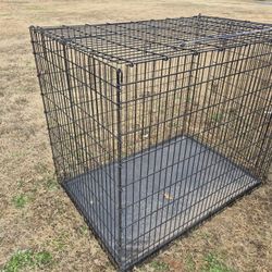 Huge Dog cage