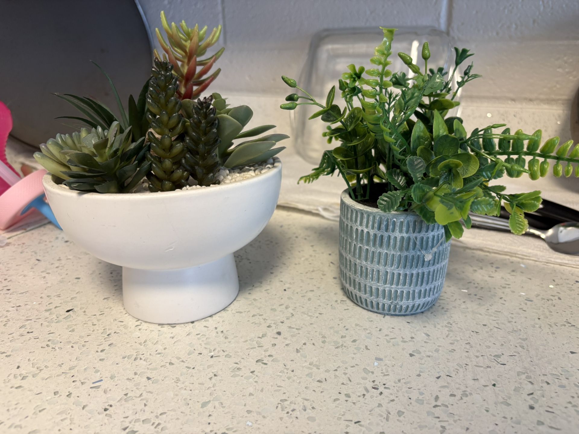 Fake Plants. Succulent 