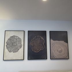Framed Prints 