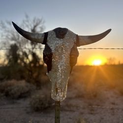 Cow Print Steer Head