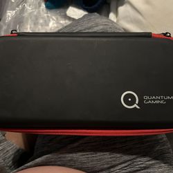Nintendo Case