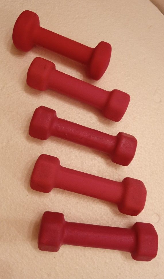 5 One Pound Weights $8