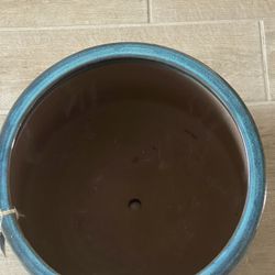 Large Plantar Pot 