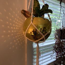 Hanging Disco Ball Plant Holder