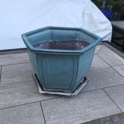 A charming bonsai pot