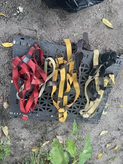 Harnesses, and also the ropes