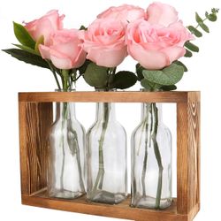 Plants Terrarium Bud Pots in Wooden Rack | Rustic, Vintage Home Decor | Windowsill Accessory, Wedding, Kitchen, Dining Table Centerpiece (3 Bottle)