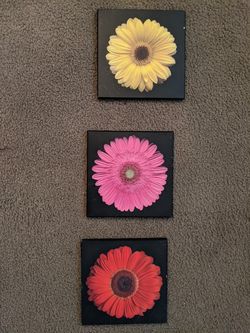 Wall Decor from Target