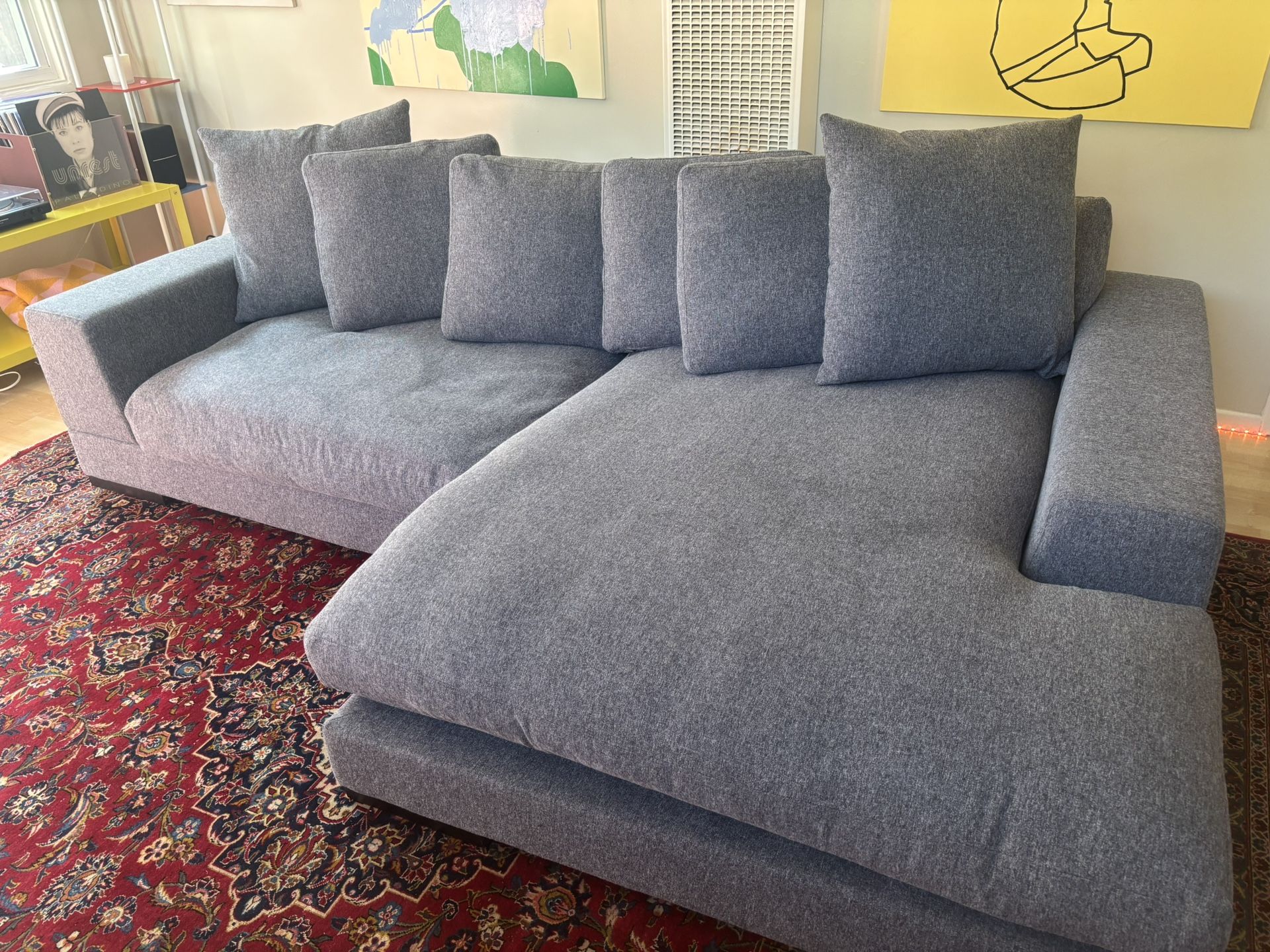 Cozy Sectional Couch