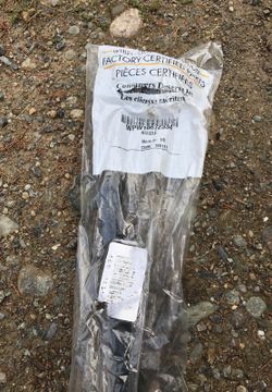 Refrigerator door handle