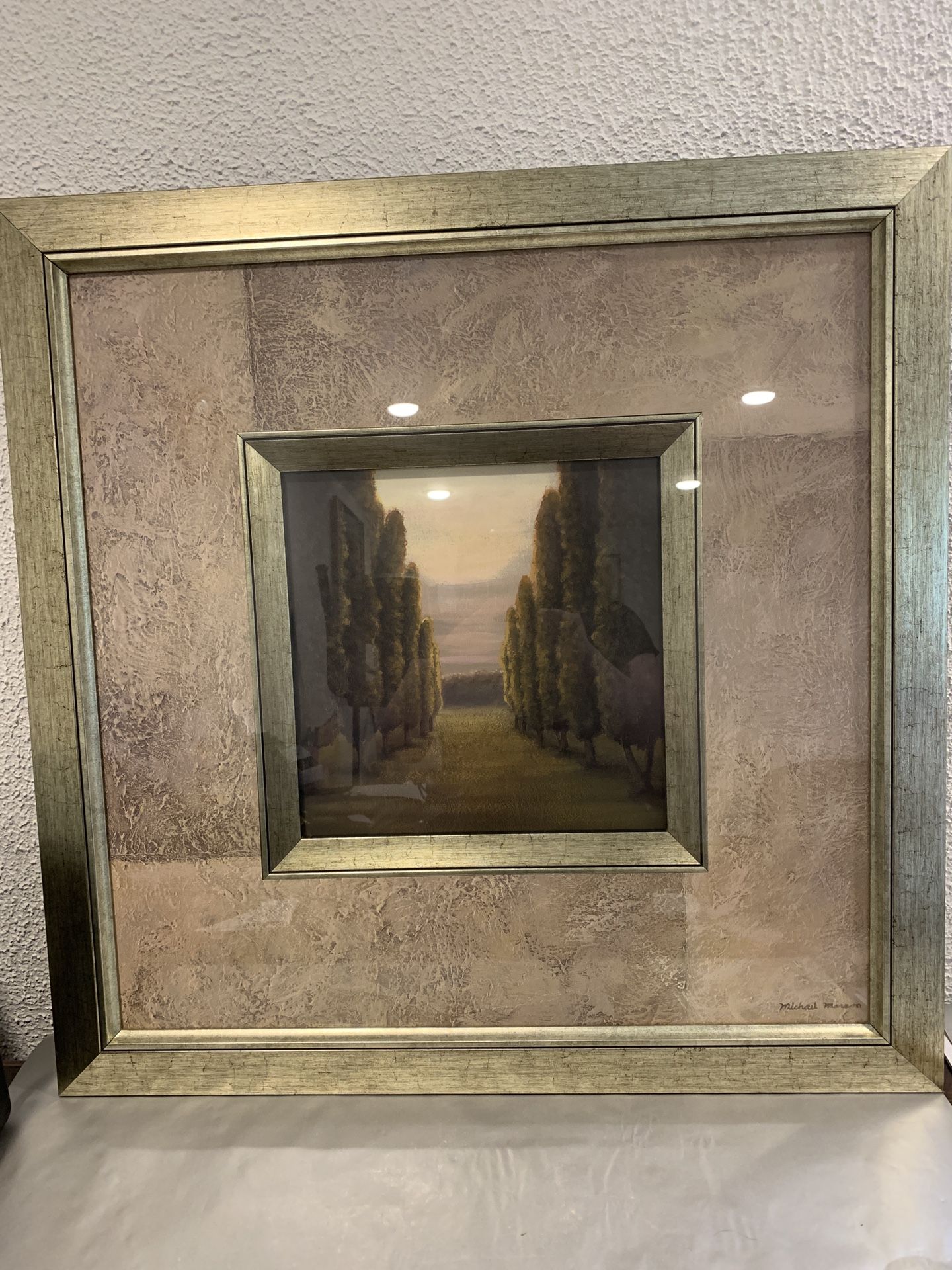 Beautiful large 28”x 28” wall art deco print in a beautiful metallic wooded frame with glass signed