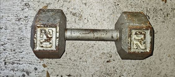 Dumbbell 20lbs