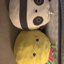Two squishmallows (rare?) 
