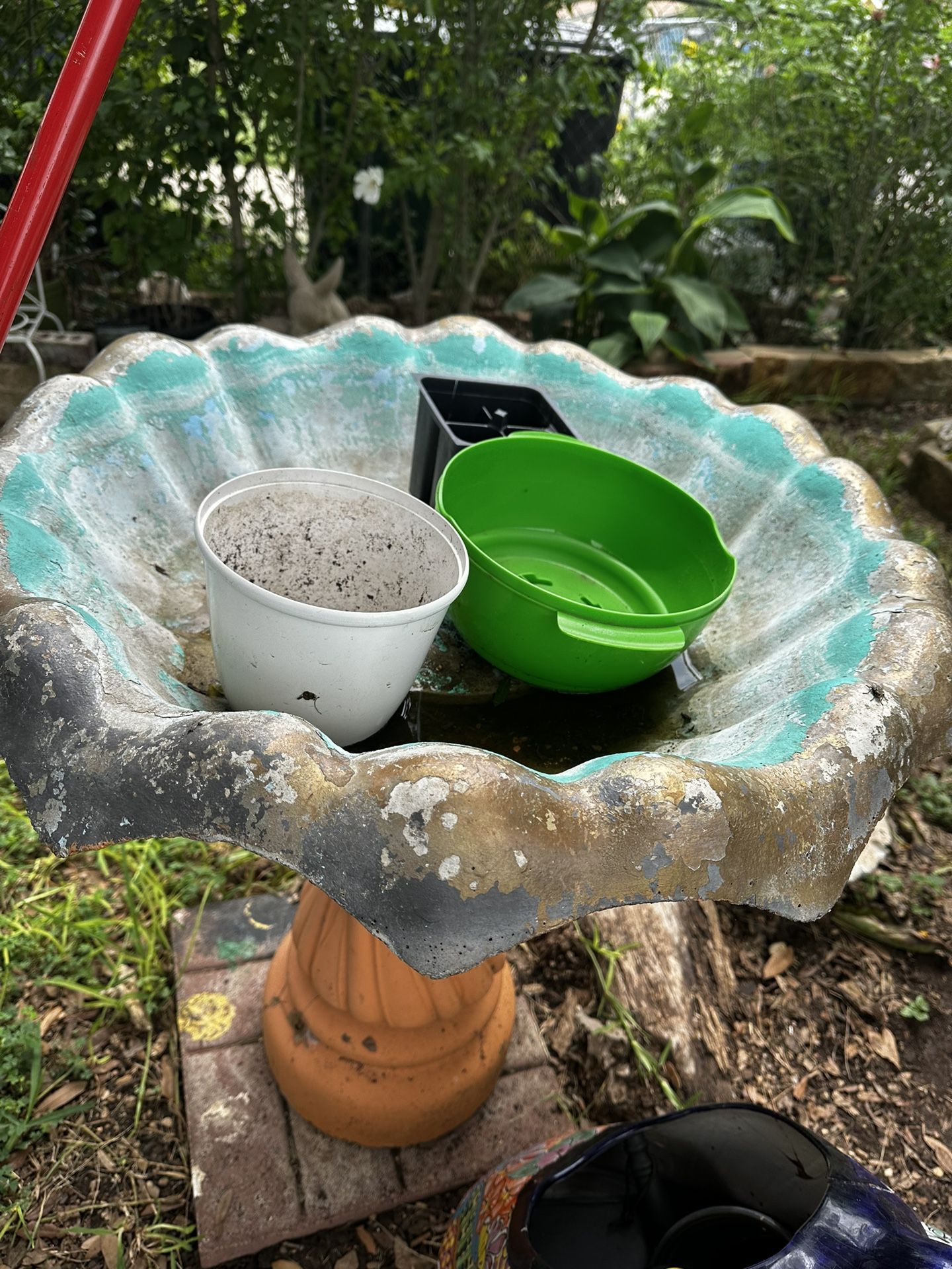 Garden Items 🪴🌳