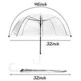 Clear Bubble Umbrellas.