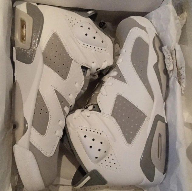 Air Jordan 6 Retro ‘Cool Grey’
