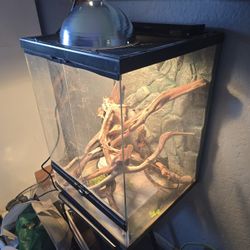 Glass Cage Only Zoomed Like New $100