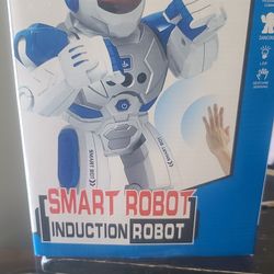 Smart Robot