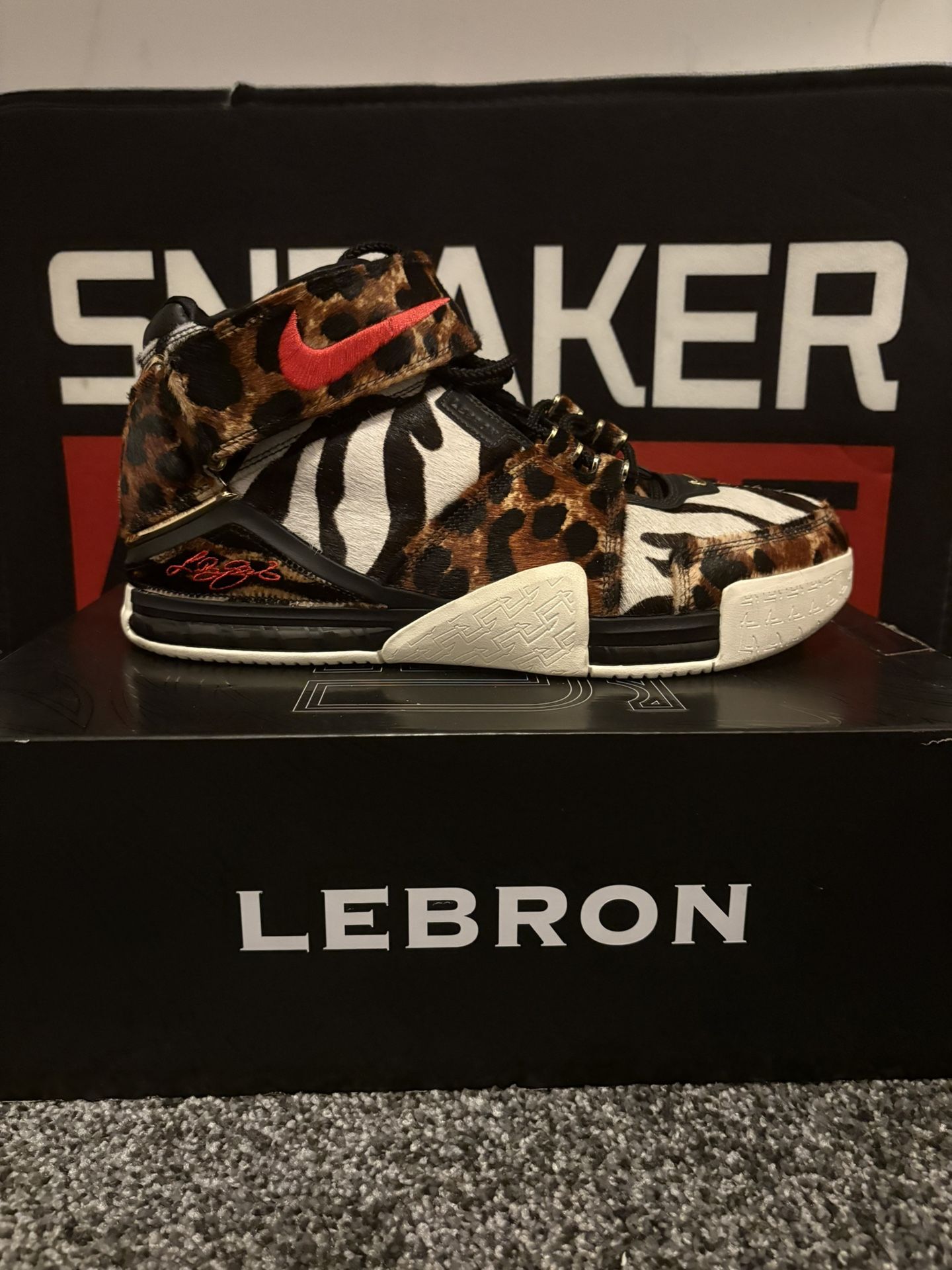 LeBron James Rare