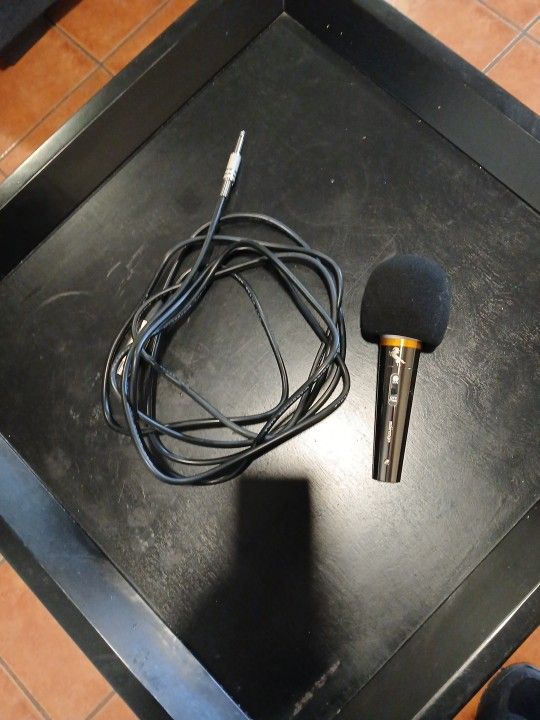 🎤