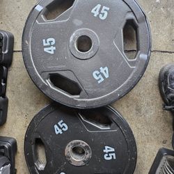 Pair Of Olympic Weights 45lbs
