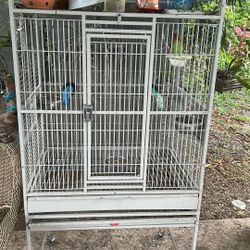 Cage With One  Love Bird