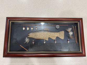 Vintage Fishing Themed Shadow Box Diorama Rainbow Trout Wall Hanging 23.75”x12”