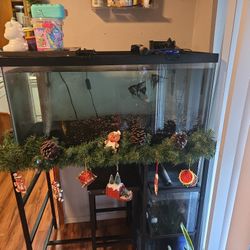 Fish Tank Whit Everyting 