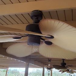 Leaf Blade Ceiling Fans (3)