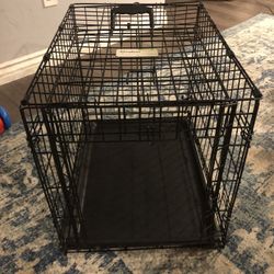 Dog kennel 