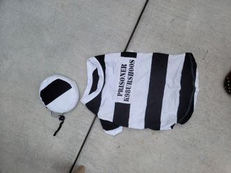 New prison dog