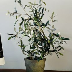 Faux Olive Bush
