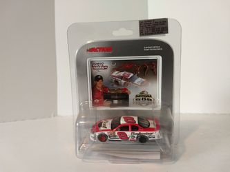 NASCAR Dale Earnhardt Jr