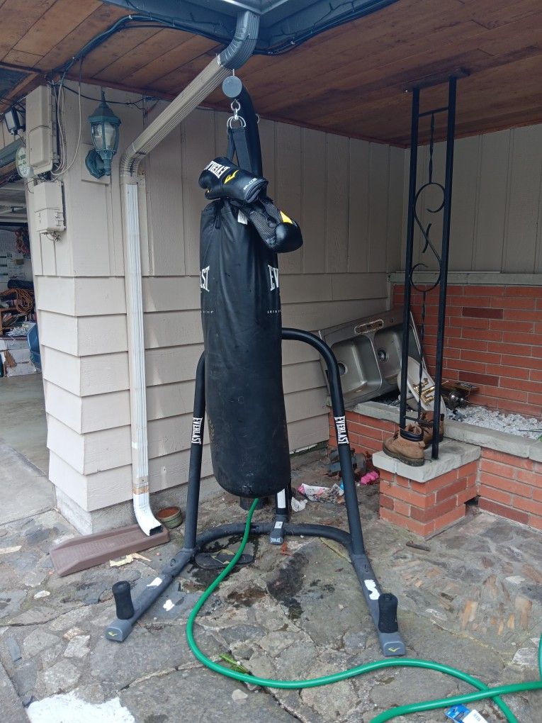 EVERLAST Punching Bag