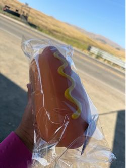 Squishy hot dog