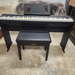 ROLAND PIANO 🎹