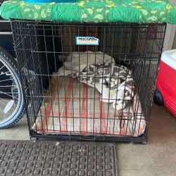 Dog kennel XL - Precision.  