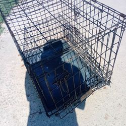 Kennel
