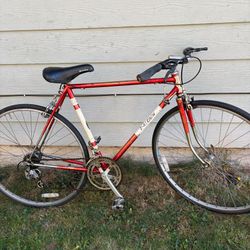 RALEIGH BIKE