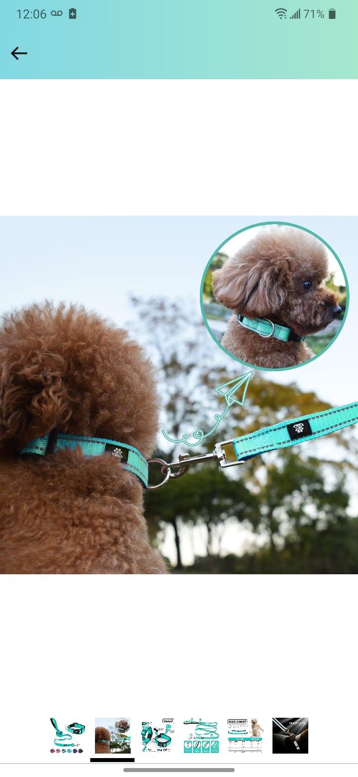 Reflective Dog Leash