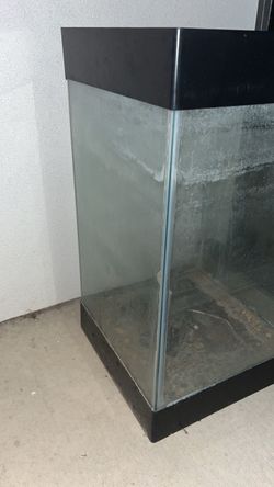 Fish tank