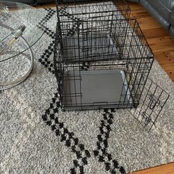 dogs cage 