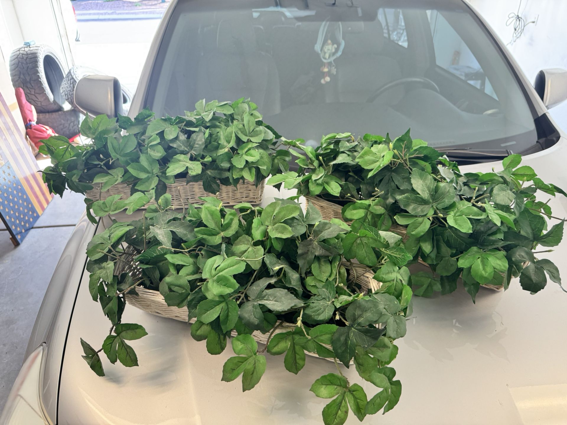 Fake Plants