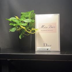 Miss Dior – 3.4 oz (100 ml Eau de Parfum) Brand New / Factory Sealed