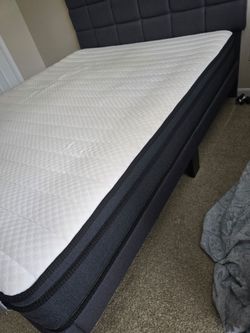 Queen bed and mattress